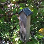 Geckoes on butterfly house in butterfly garden at Bahia Honda State Park