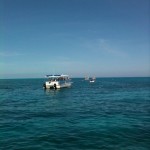 Snorkelers at Looe Key