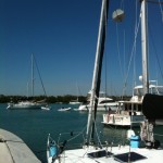 No Name (Busy Little) Harbor, on weekend