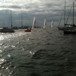 Olympic sailors sailing through the mooring field
